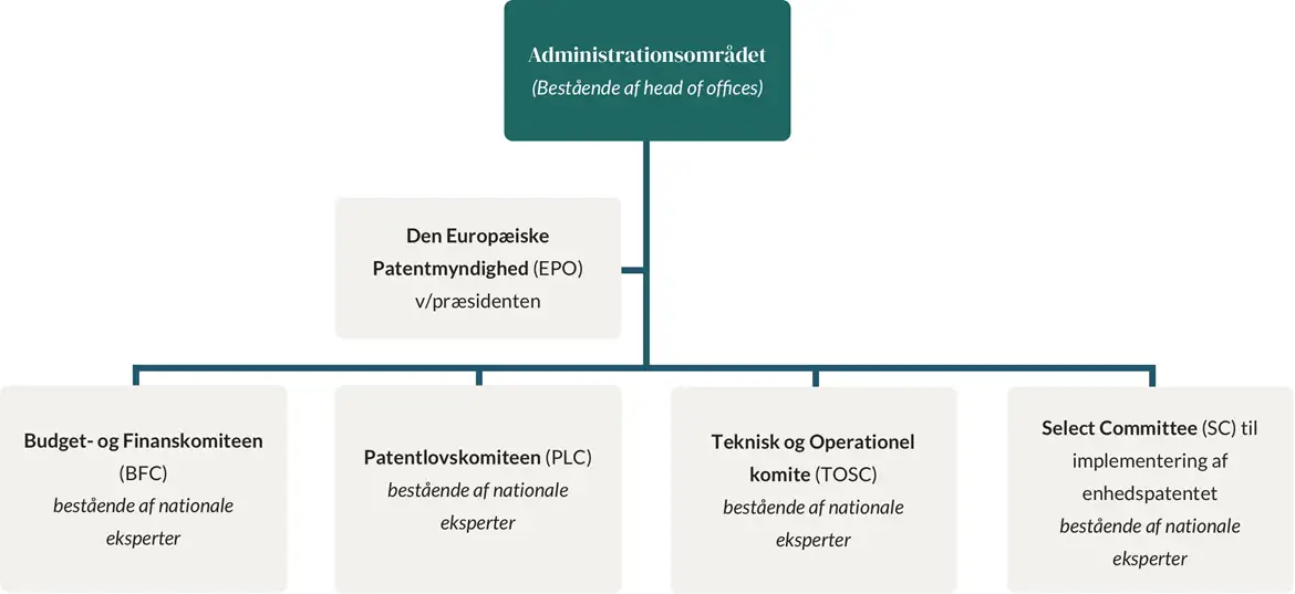 Organisationsdiagram EPO